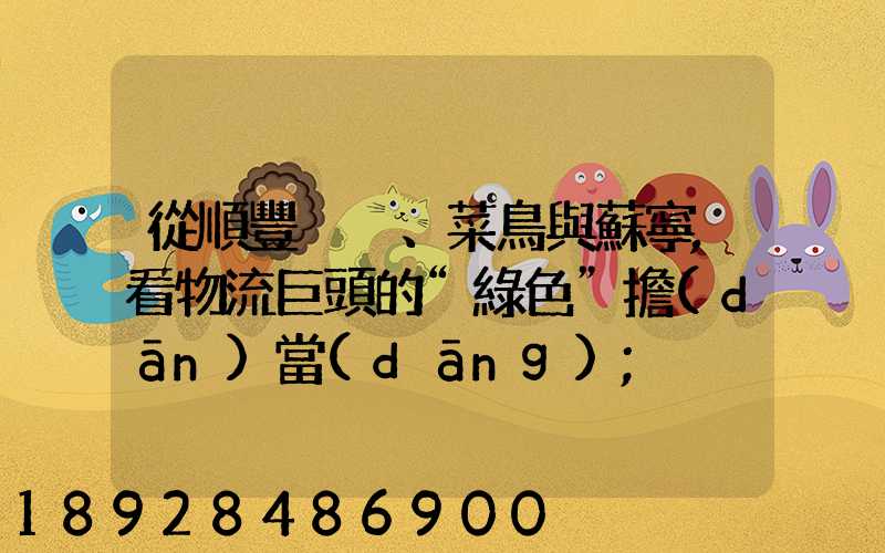 從順豐、菜鳥與蘇寧,看物流巨頭的“綠色”擔(dān)當(dāng)